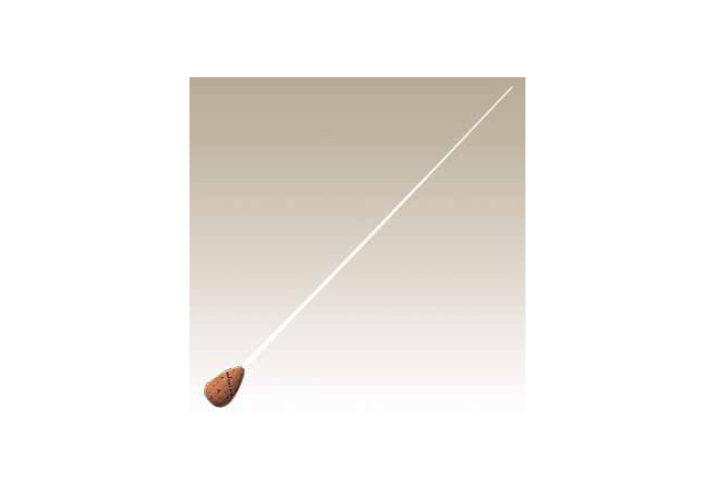 指揮レッスン 練馬桜台・小竹向原