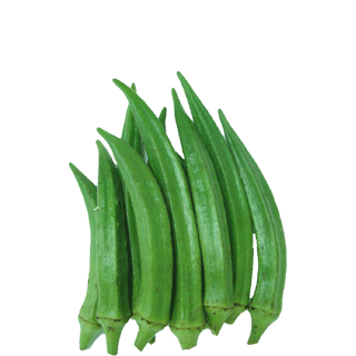 レッスン 音楽教室